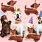 5Pcs Dachshund Dog Birthday Balloons – Puppy-Shaped Foil Mylar Balloons for Pet, Puppy, Dog, and “Let’s Pawty” Themed Party Decorations (Dachshund Shaped)